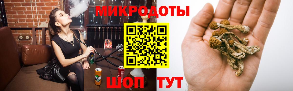 Балашов  Псилоцибиновые грибы Magic Shrooms  Вход с VPN 